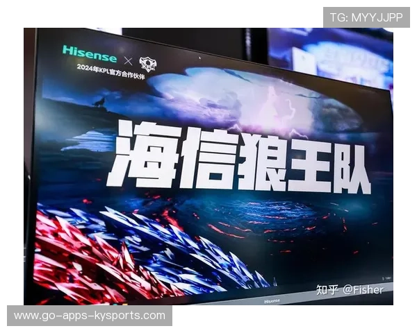 职业联赛的赞助方案实施